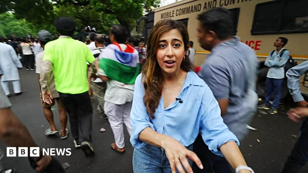 From hundreds to thousands: How India's 'cockroach' protest movement has grown