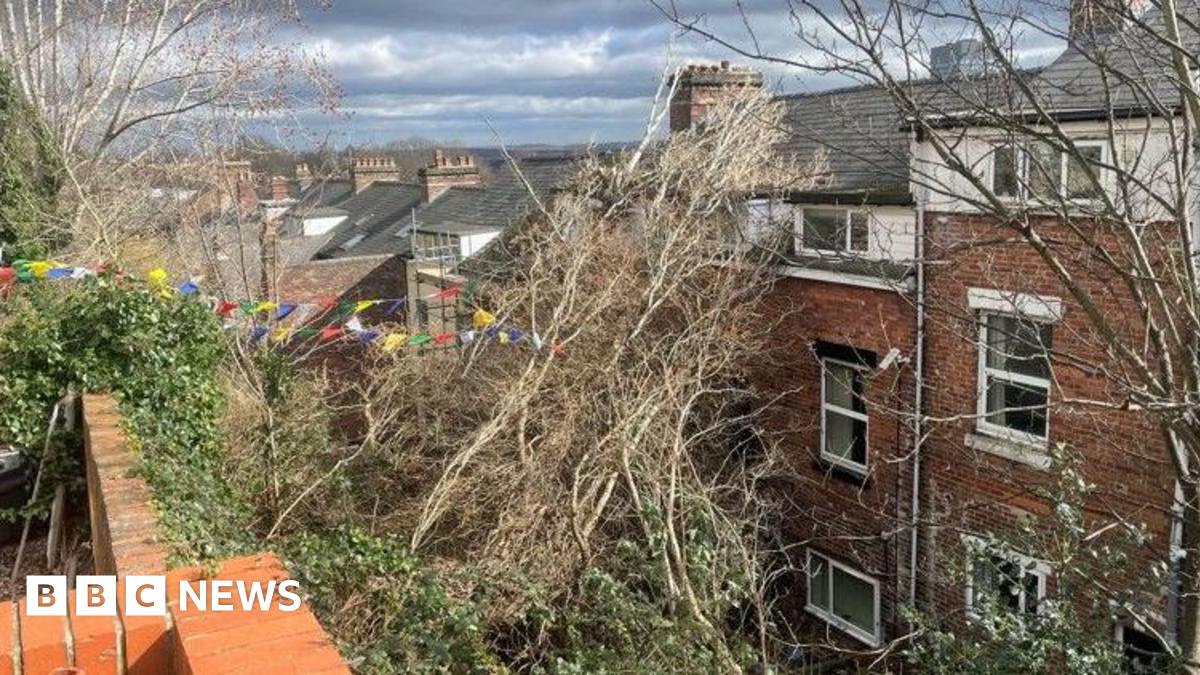 bbc.co.uk - Gina Bolton - Tree collapses onto Sheffield house after strong winds