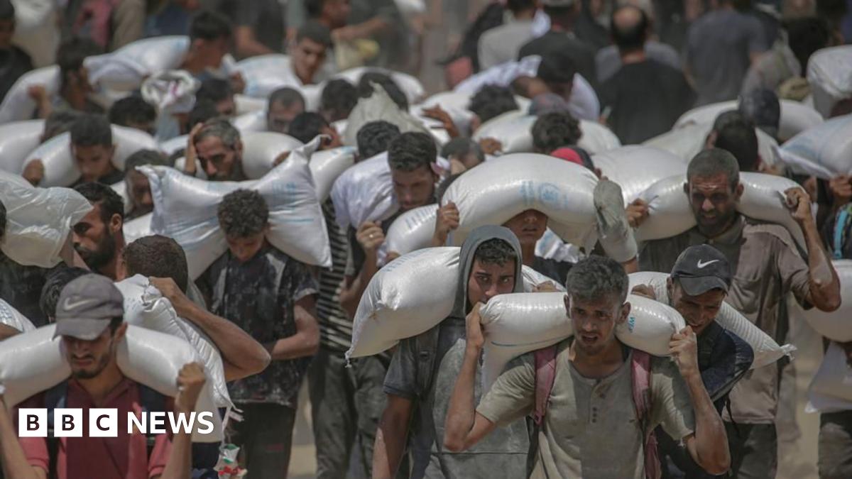 Malnutrition in Gaza at alarming levels, WHO warns as aid airdrops resume