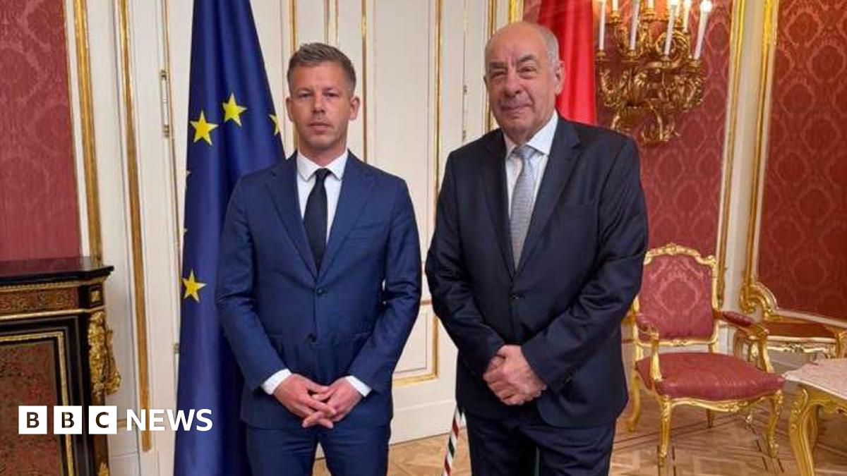 Magyar calls for quick handover of power in talks with Hungary's president  - BBC News