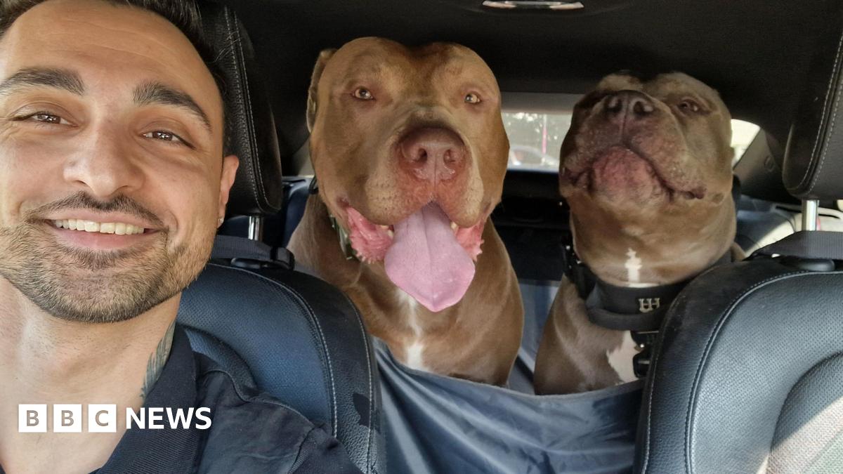 XL Bully Ban Update: Inside the Seized Dog Kennels