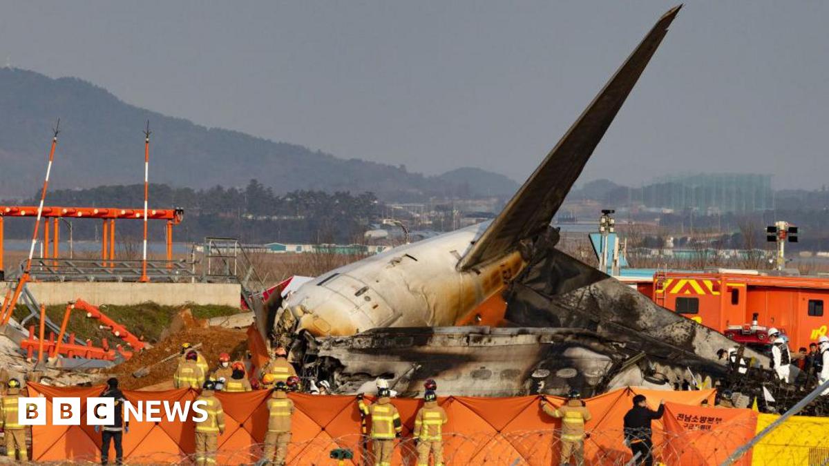 Jeju Air crash: South Korean police raid transport ministry headquarters as questions mount
