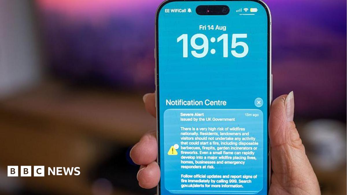 Emergency phone alert put domestic abuse victims at risk, campaigners say