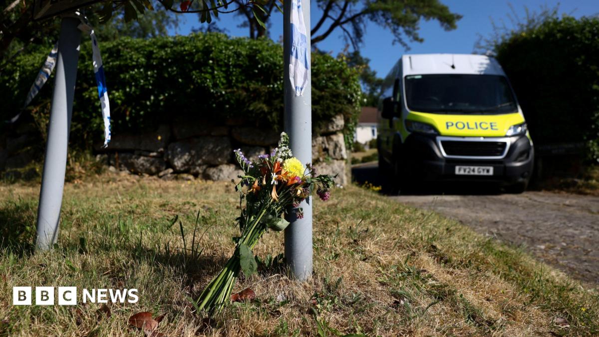 Uncle of Ann Widdecombe suspect says he 'nearly fell to floor' over arrest