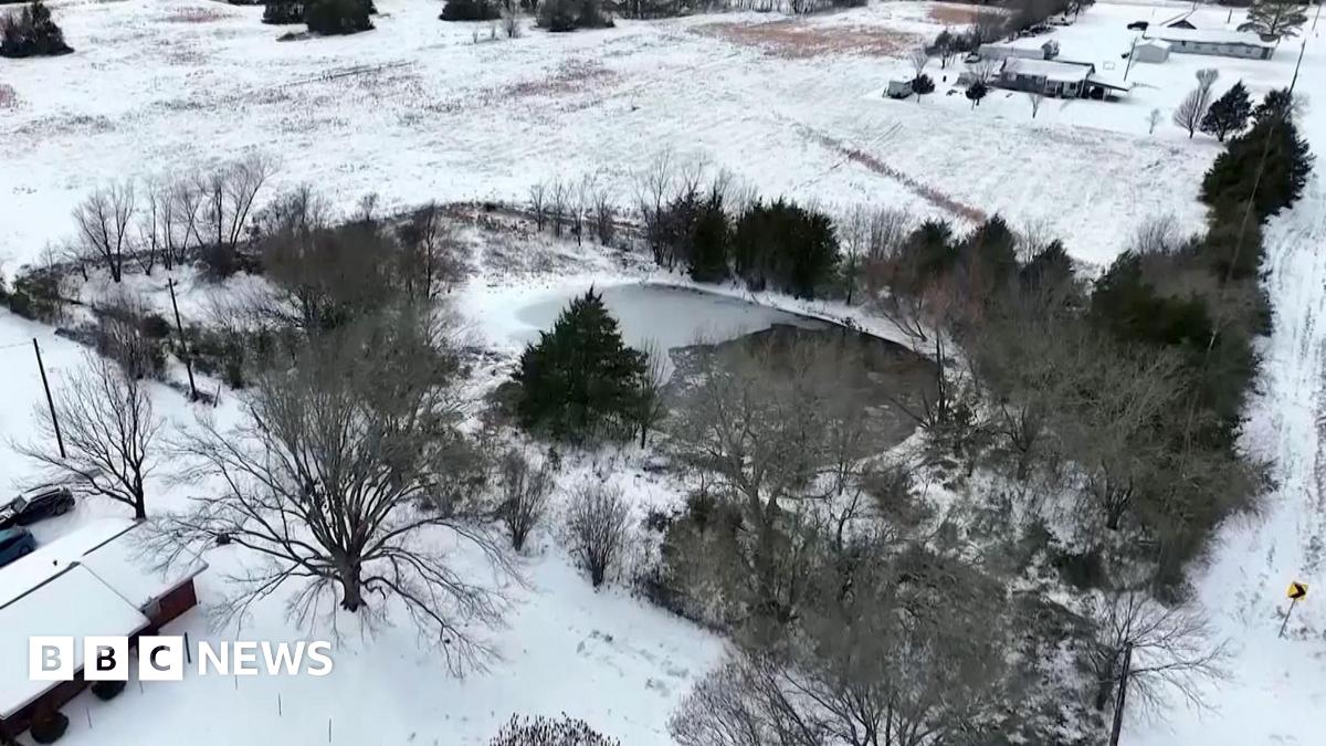 
                            Three brothers die after falling in frozen Texas pond