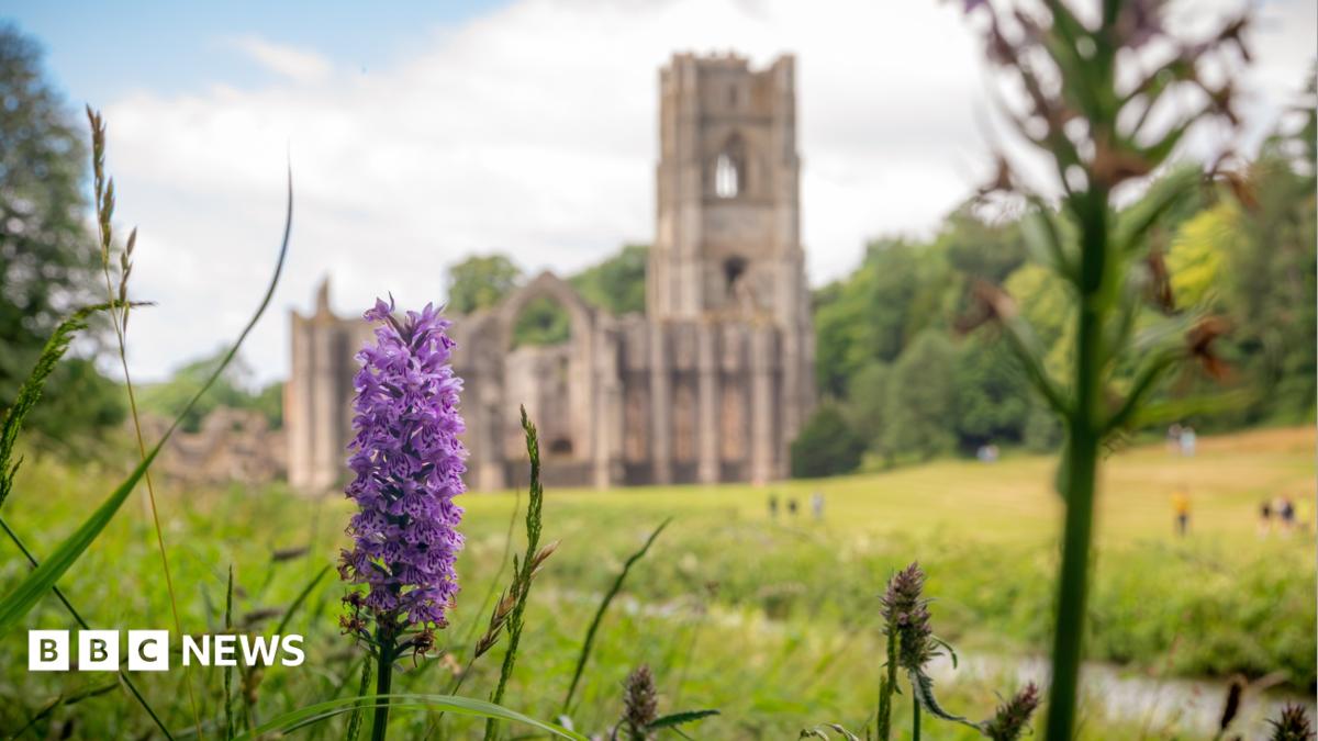 bbc.co.uk - Jack Hadaway-Weller - Orchids return to grassland after 28 Years Later filming