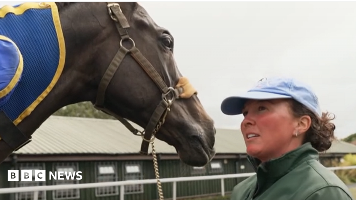 Retired Racehorses Compete at Aintree Event