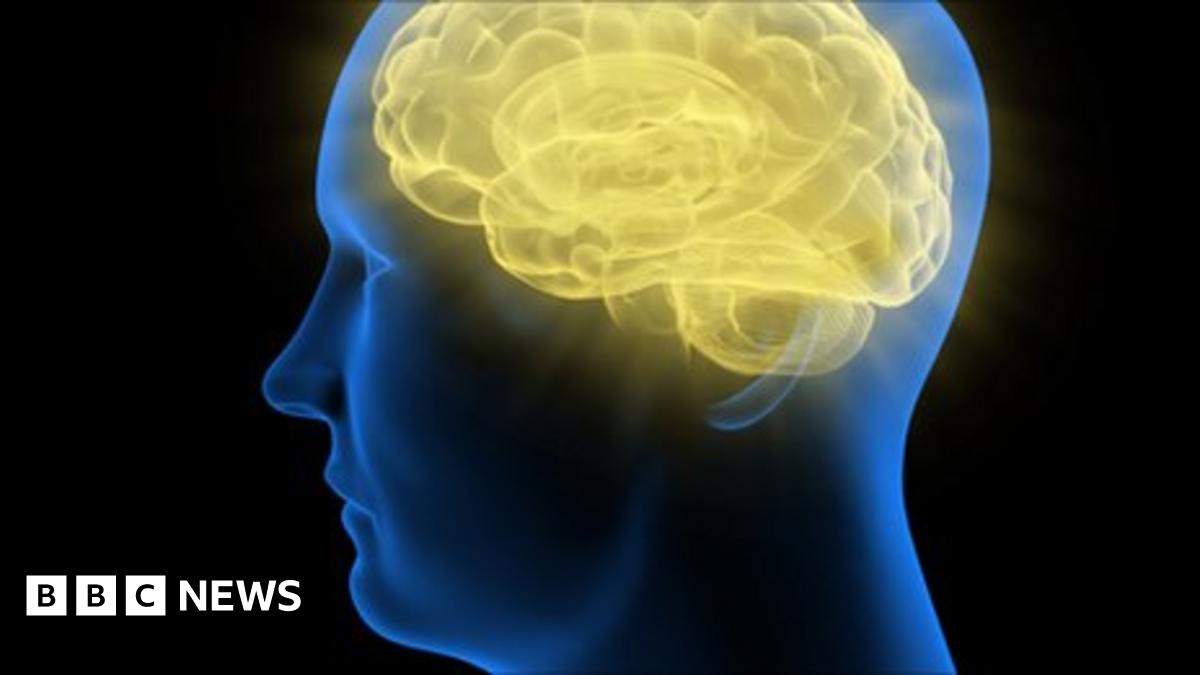 Memory and method: In praise of learning by rote - BBC News