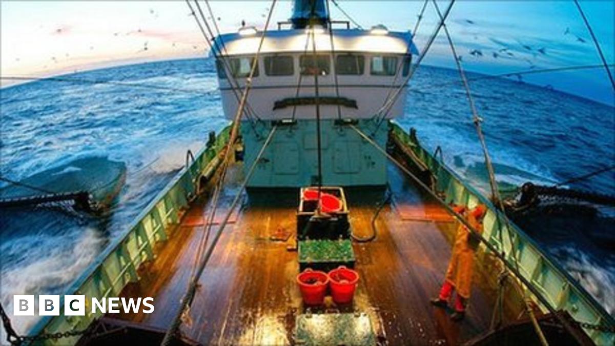 Eu Revamps Fishing Policy To Save Depleted Stocks Bbc News