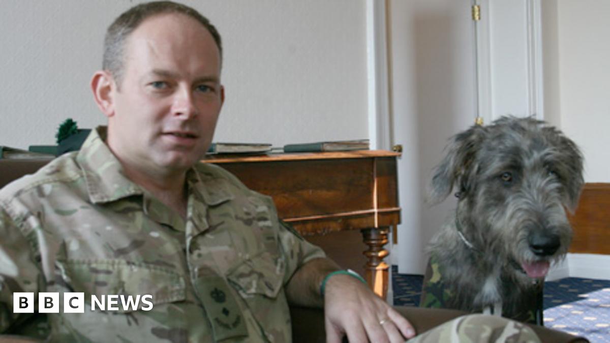 Royal Irish Regiment soldiers honoured for bravery - BBC News