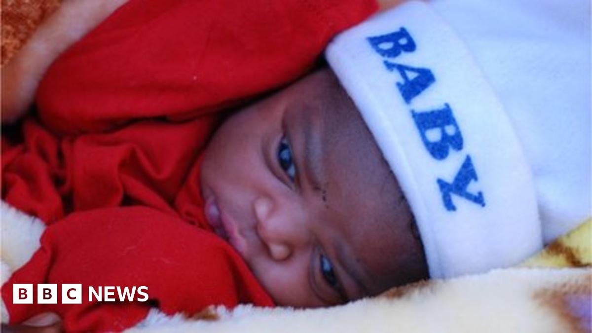 The world at seven billion - BBC News