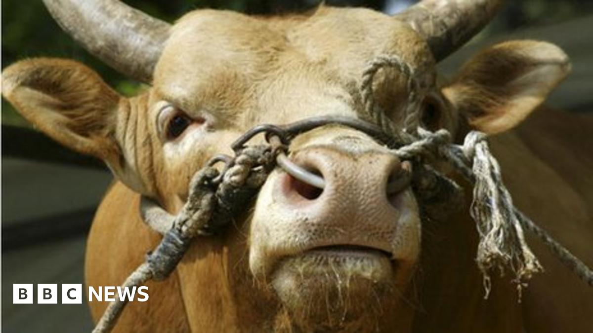 EUROZONE CRISIS EXPLAINED visual data 5