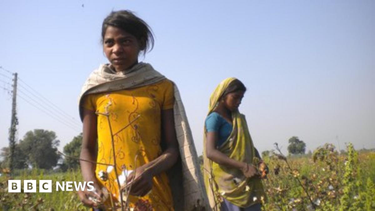 India's exploited child cotton workers - BBC News