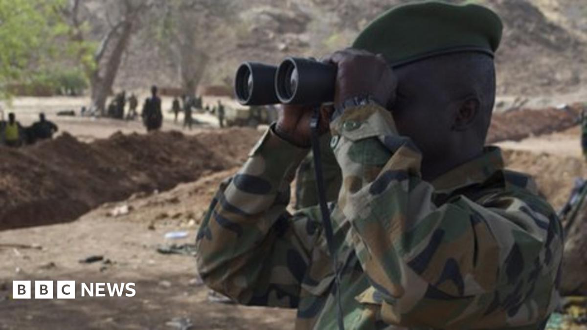 Sudan's tangled conflicts fuel border battles - BBC News