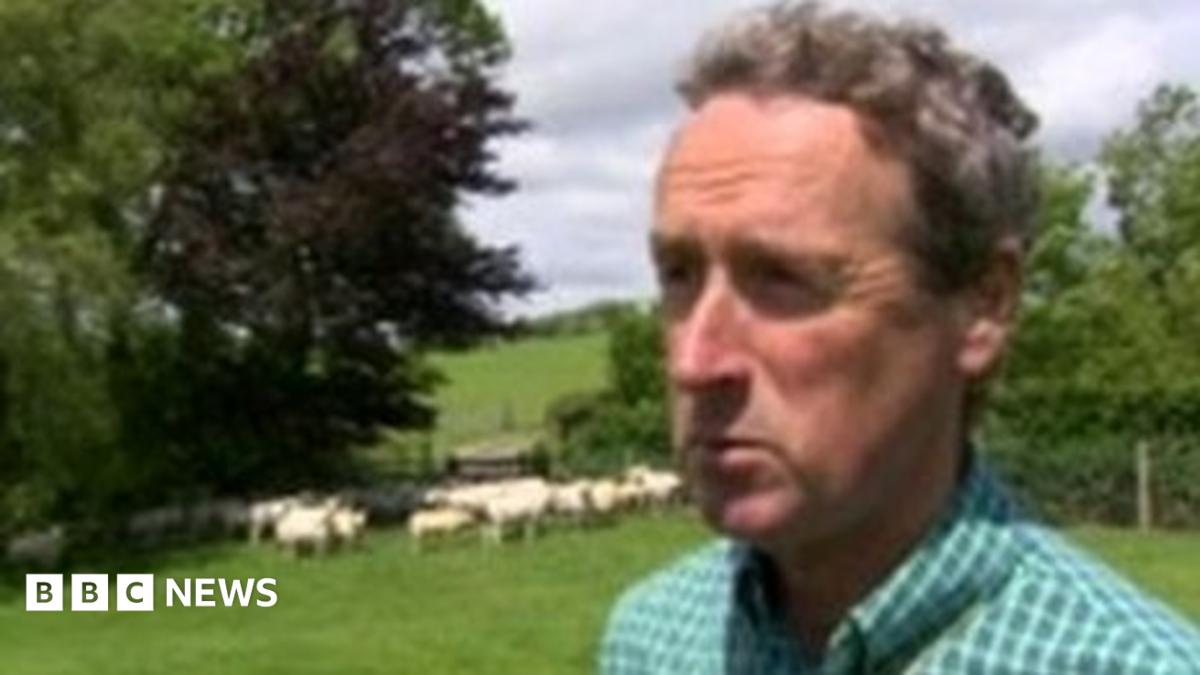 Two sentenced over Lancashire sheep rustling - BBC News