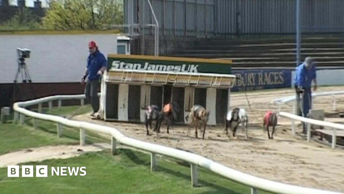 Oxford greyhound stadium stages last race meeting - BBC News