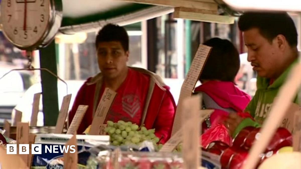 America S Immigration Conundrum Bbc News