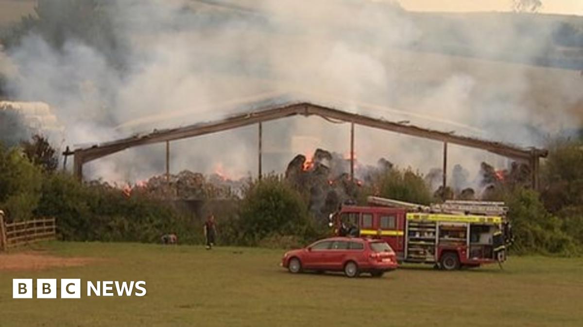 Pony killed in Ogwell barn 'arson' - BBC News
