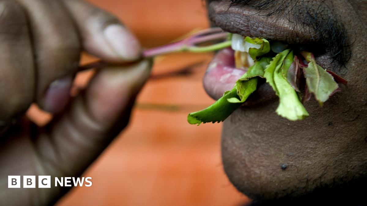Khat ban: Why is it being made illegal? - BBC News