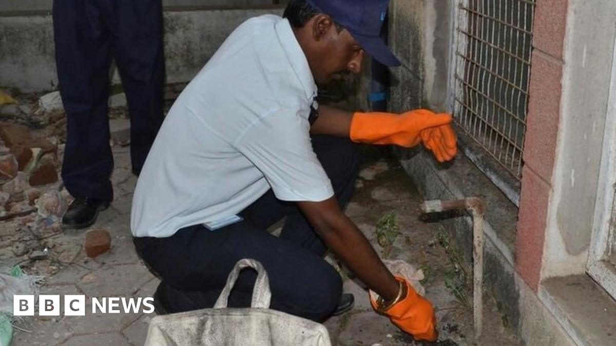 India hospital riddled with rats hires pest control - BBC News