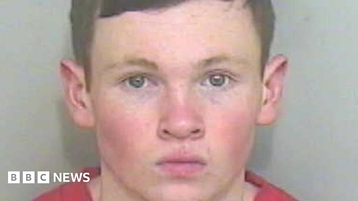 Breck Bednar murder: Lewis Daynes sentenced to life in prison - BBC News