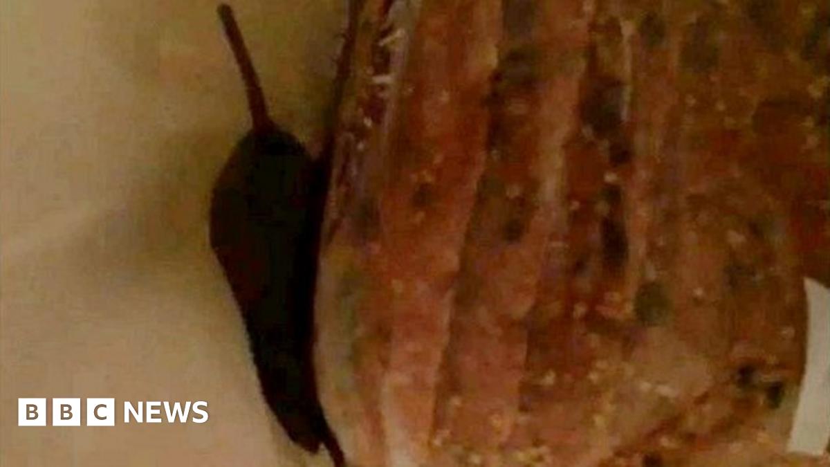 Mouse 'leapt out' of Clacton Tesco delivery