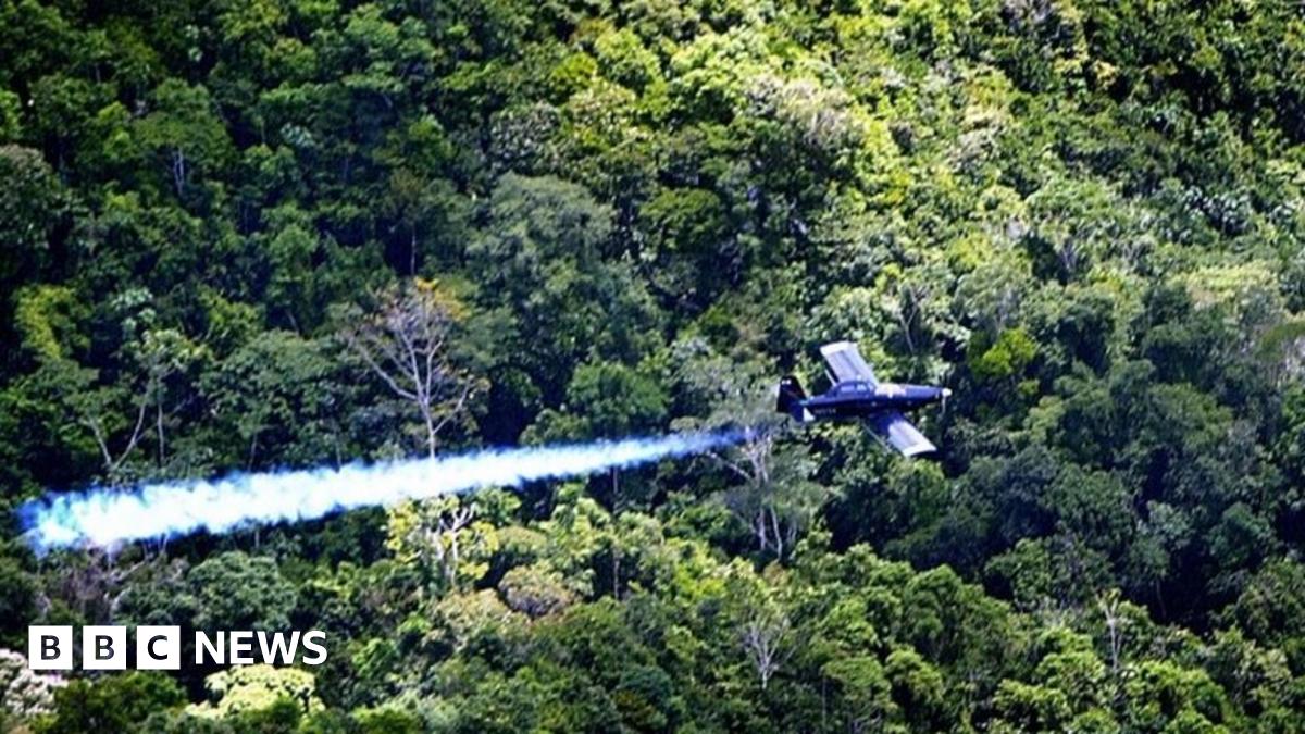 Colombia to ban coca spraying herbicide glyphosate