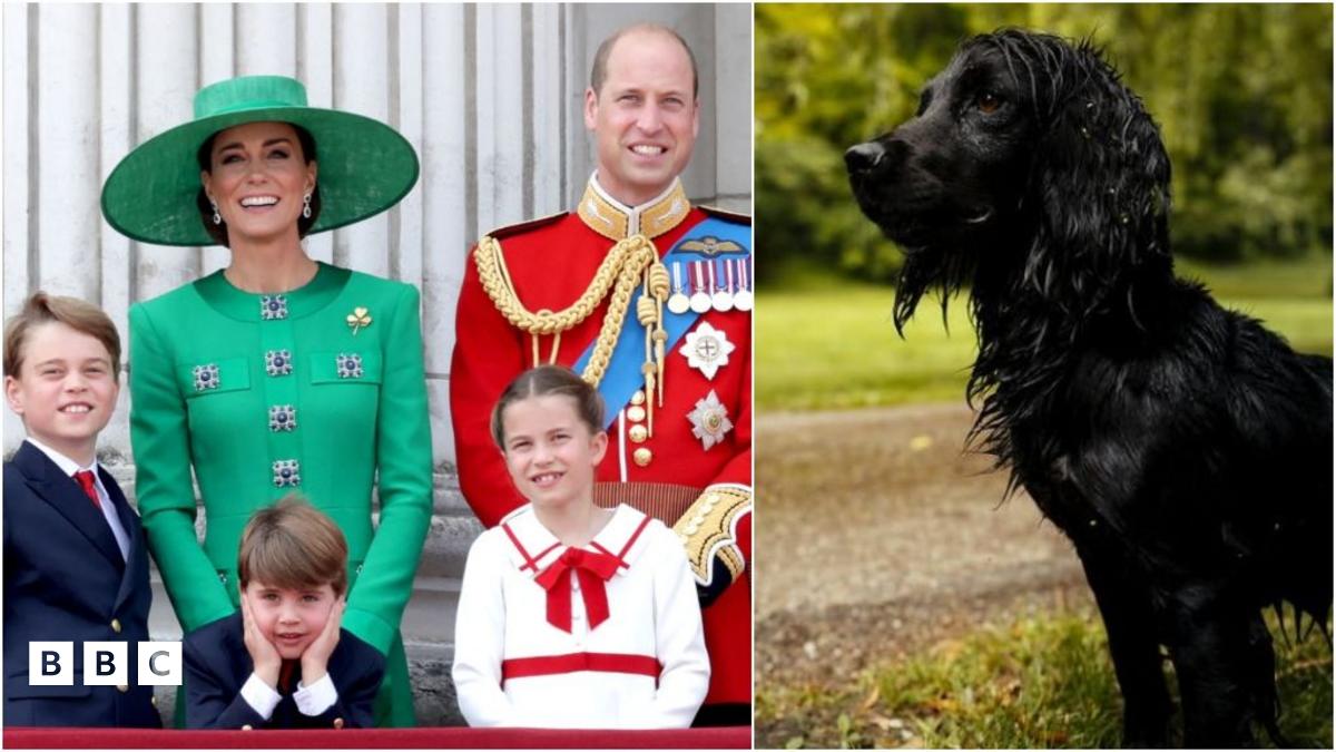 UK Royal Family Royal pet dog Orla makes a rare appearance for