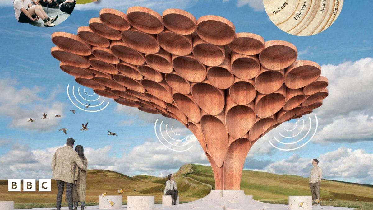 Sycamore Gap Ağacının Anısına Özel Bir Sanat Eseri