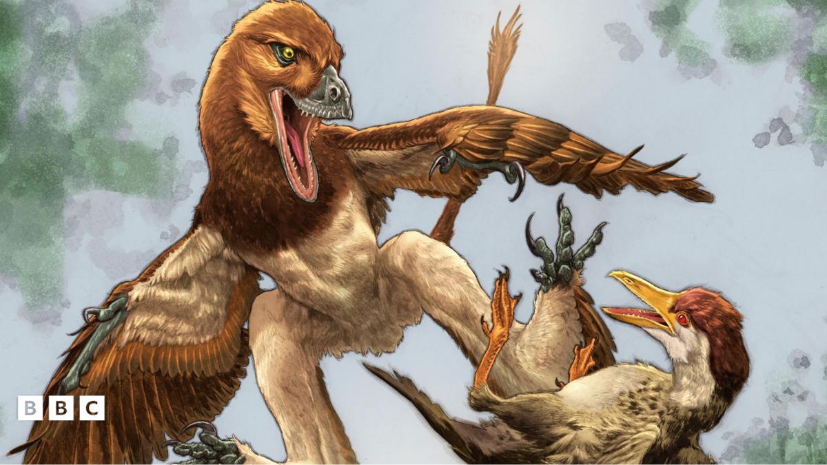 中国发现小型鸟类掠食恐龙
