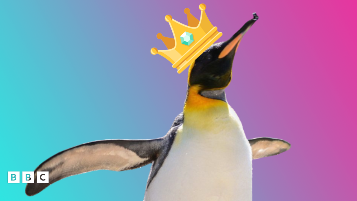 邦楽 Clippers-King penguin/Wicked babylon maxresdefault.jpg?sqp=-