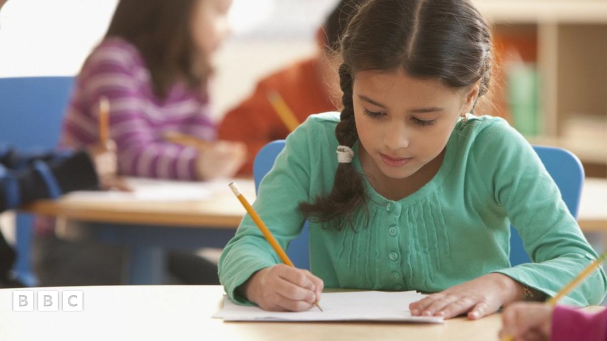 EAL: Pupils who speak English as an additional language need more support after Covid - BBC Newsround