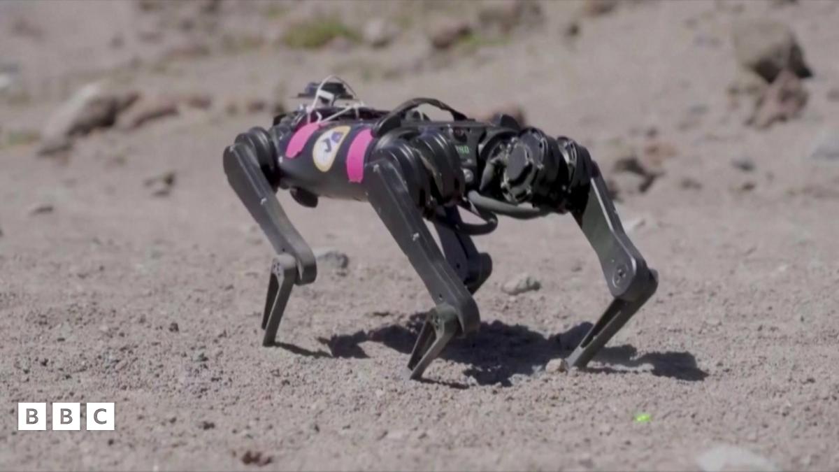 Nasa prepares robot dog for exploring the Moon - BBC Newsround