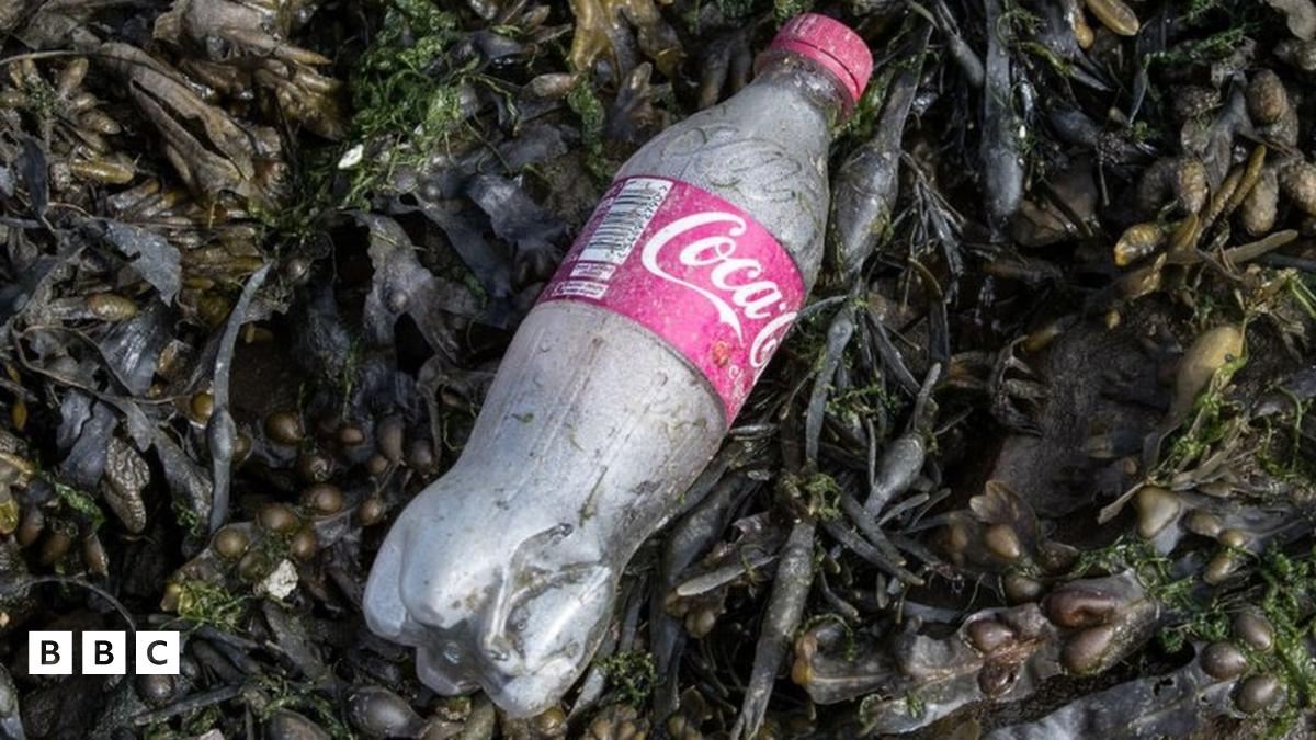 Companies sign up to cut plastic pollution