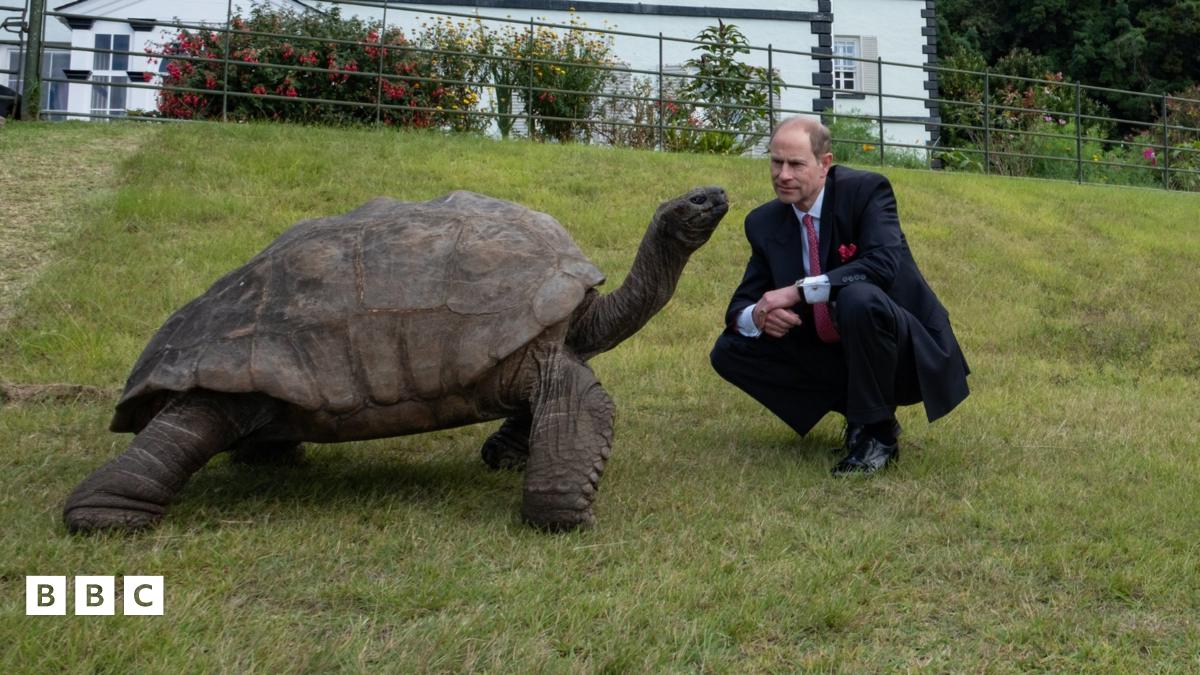 World s Oldest Living Land Animal Meets Duke Of Edinburgh BBC Newsround world-s-oldest-living-land-animal-meets-duke-of-edinburgh-bbc-newsround