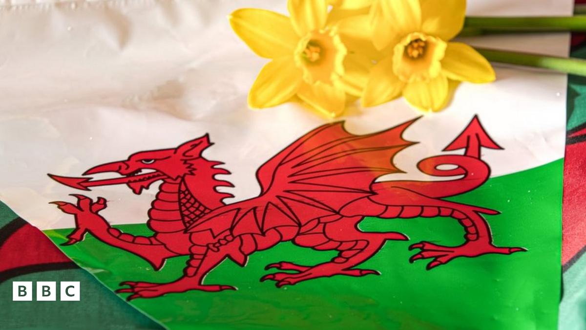 St David's Day 2024: Everything you need to know - BBC Newsround