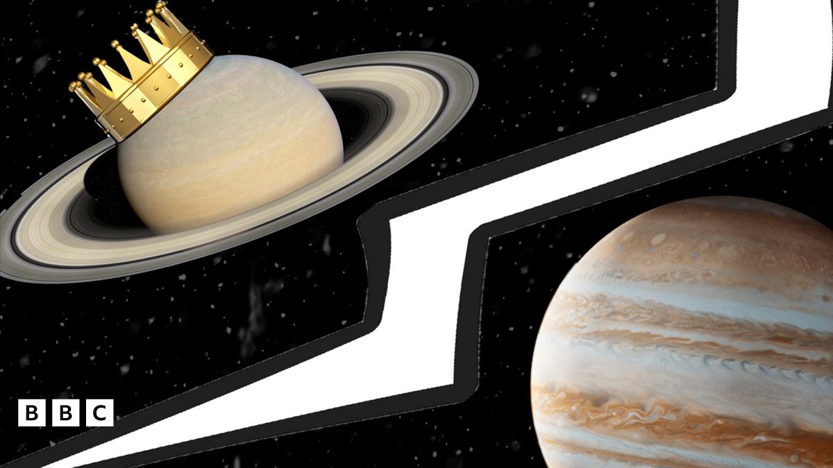 TOO ベロアガウン　moon tree planet Brand | MOON TREE PLANET