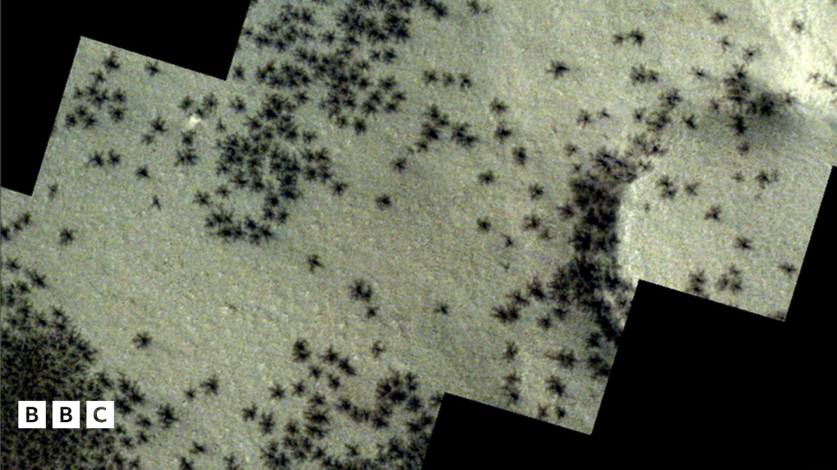 Dark 'spider-shaped' spots on the surface of Mars