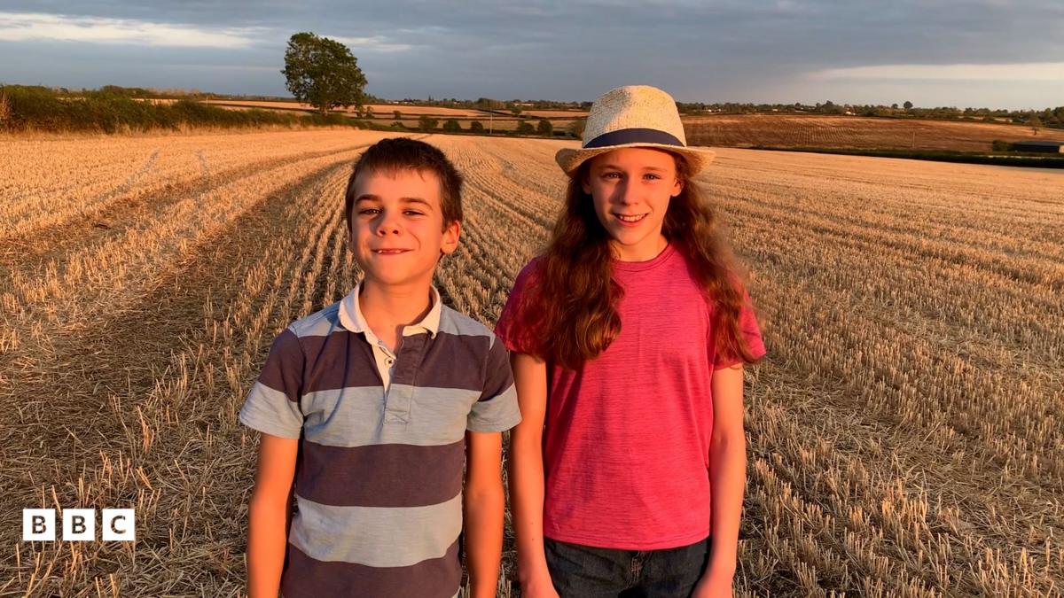 bbc.co.uk - UK drought: Children on farms explain how heatwaves have affected their lives