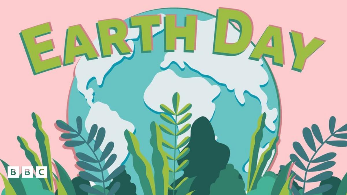 Earth Day 2024: What's it all about? - BBC Newsround