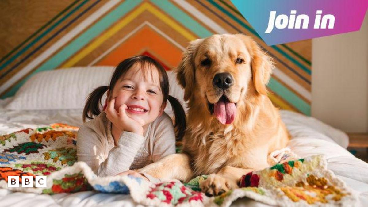 Sadık Dostlarımız: Dünya Köpekler Günü'nü Kutluyoruz!
