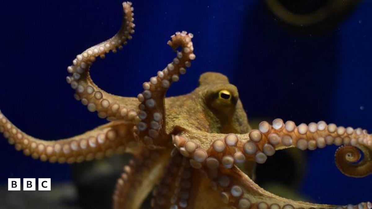 unforgettable encounters