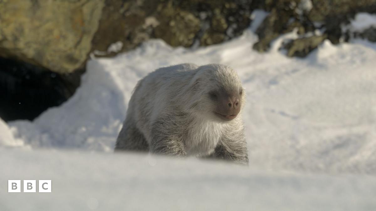 'It's the closest you're ever going to get...to Ice Age animals"