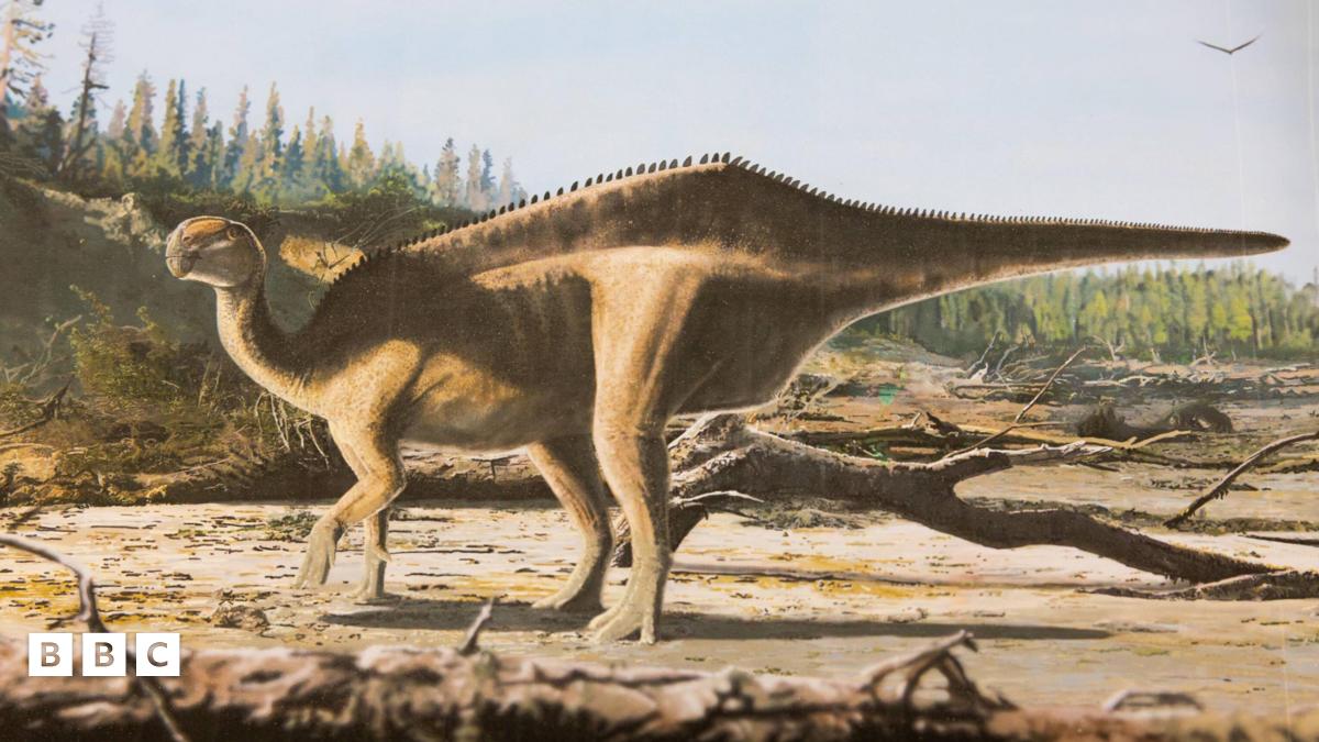 UK Scientist Discovers New Dinosaur Species with Sail-Like Spine on Isle of Wight