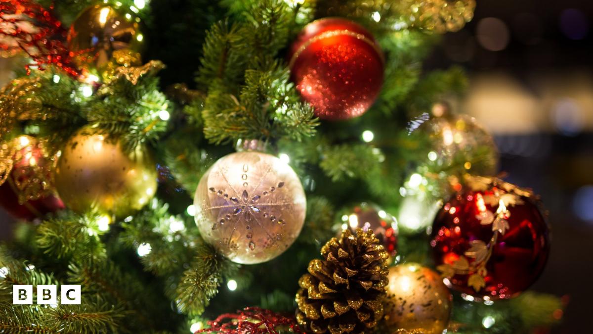 Why do we have Christmas trees BBC Newsround