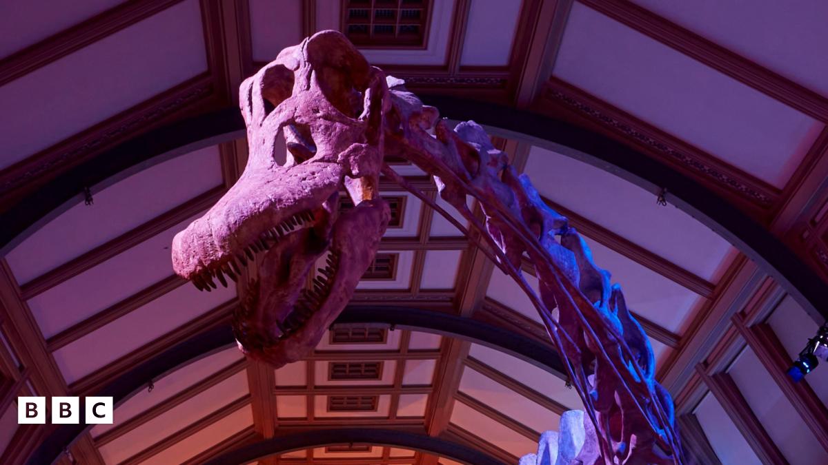 Dinozorların Kralı: Titanosaurus Peterborough Katedrali'ni Ziyaret Ediyor