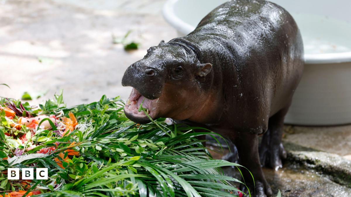 Morgan vera sex i was afraid that since I am a complete