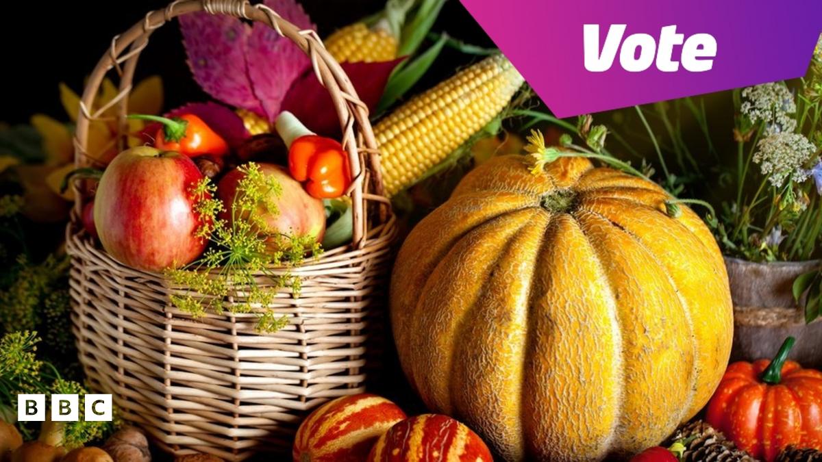 Harvest Festival 2023: What is it? And are you doing anything to celebrate it? - BBC Newsround