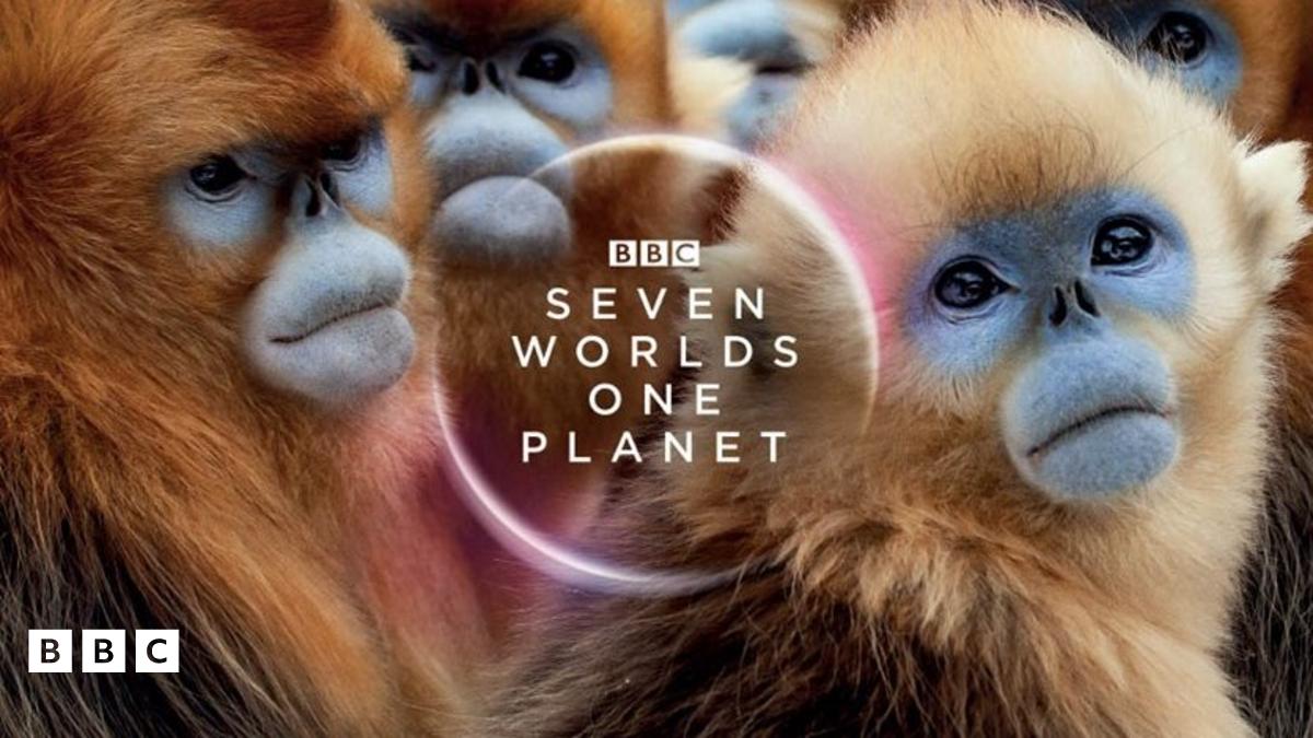 David Attenborough's Seven Worlds One Planet stage show rearranged for ...