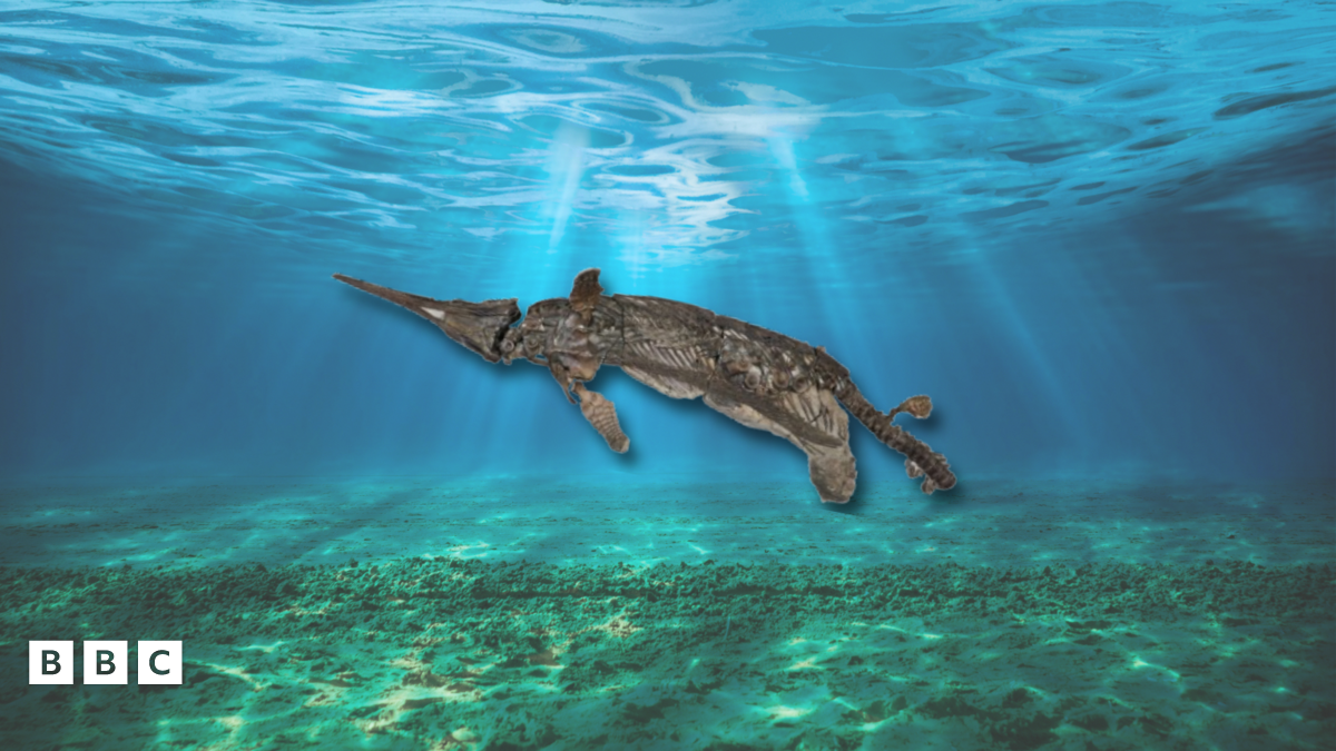 Ancient dragon skeleton found in Dorset, UK